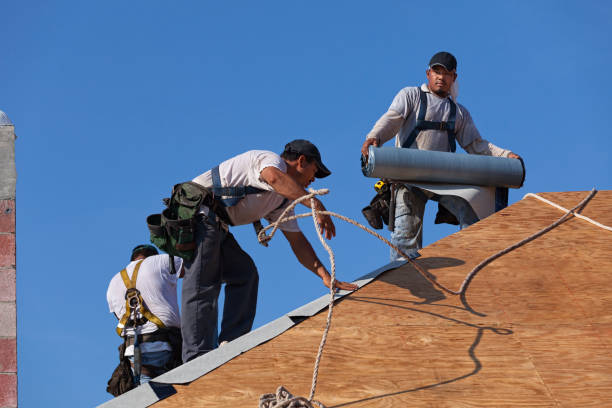 Best Shingle Roofing Installation  in Washington Park, FL